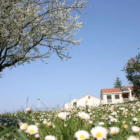 Appartement Polynesia Plava Laguna