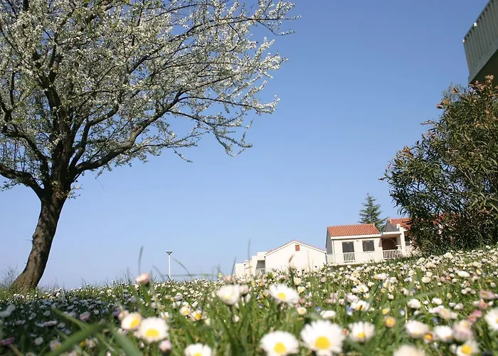 Apartmán Polynesia Plava Laguna